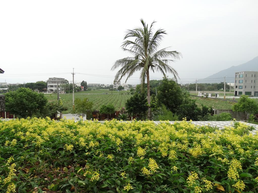 花蓮 達芙妮花園民宿 Ji'an Buitenkant foto